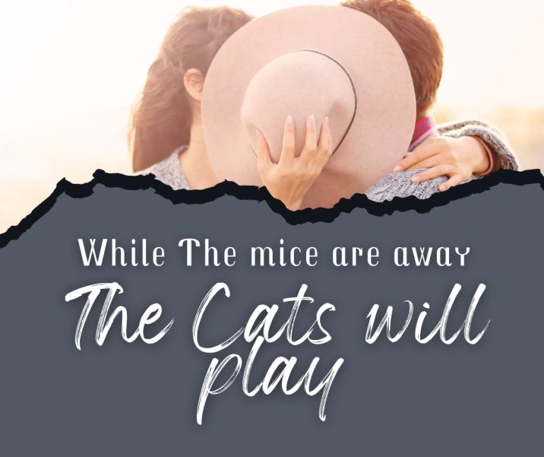 Cats Play